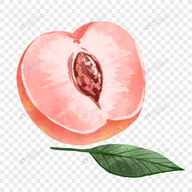 祼女直播appAPP应用