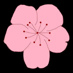 蜜糖直播APP应用