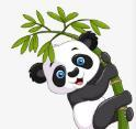 WWW,se328·COM网站APPAPP应用